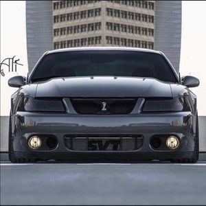 Meet your Posher, Freddy